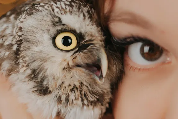 カジノ ロイヤル ウィナー サポート